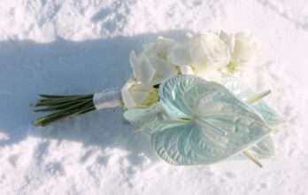 Winterhochzeit wird zu eurem Wintermärchen